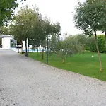 Maslina Široki Brijeg