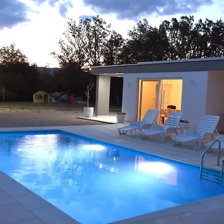 Maslina * Široki Brijeg