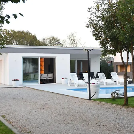 Maslina Široki Brijeg