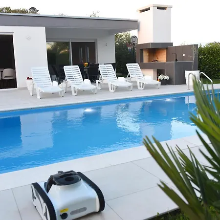 Maslina * Široki Brijeg